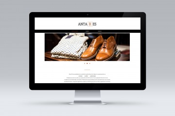 Strona internetowa firmy Antares